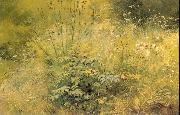 Herbage Ivan Shishkin